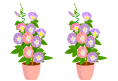 asagao07_4.png