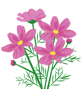 cosmos2_1.png
