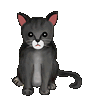 icon1_5.gif