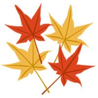 momiji.jpg
