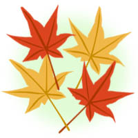 momiji2.jpg