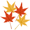 momiji2.png