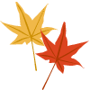 momiji3.png