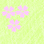 sakurab_7.gif