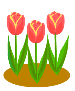 tuli4.gif