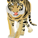 トラのイラスト(PNG 透過済み）